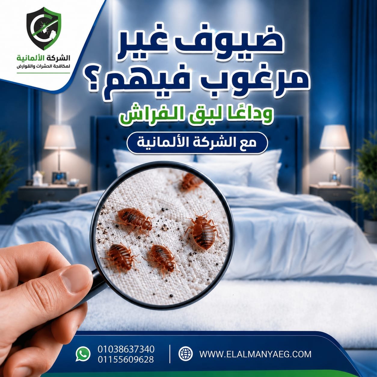 كشف ومعاينة بق الفراش - الشركة الالمانية